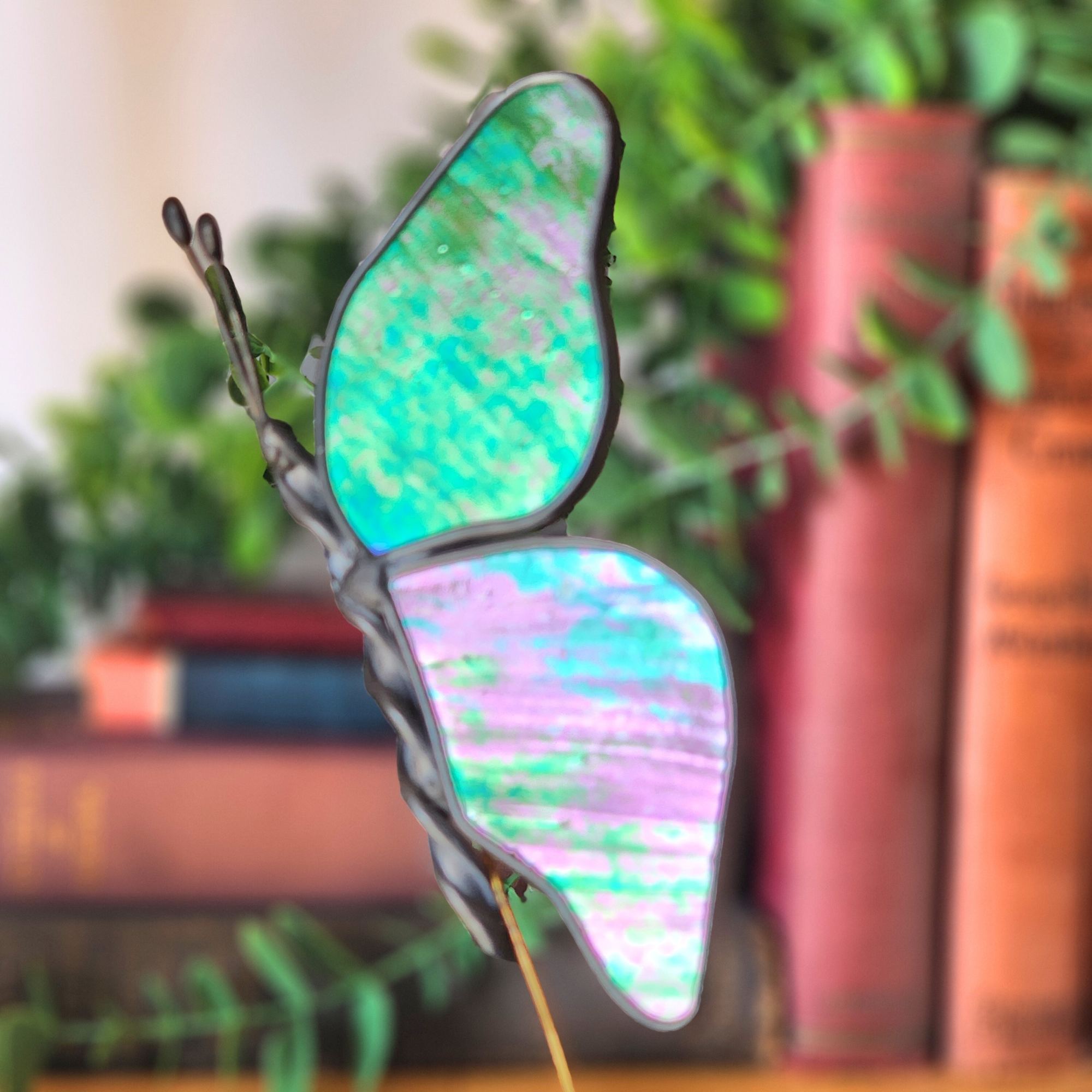 Stained glass butterfly with iridescent wings on a blurred bookshelf background