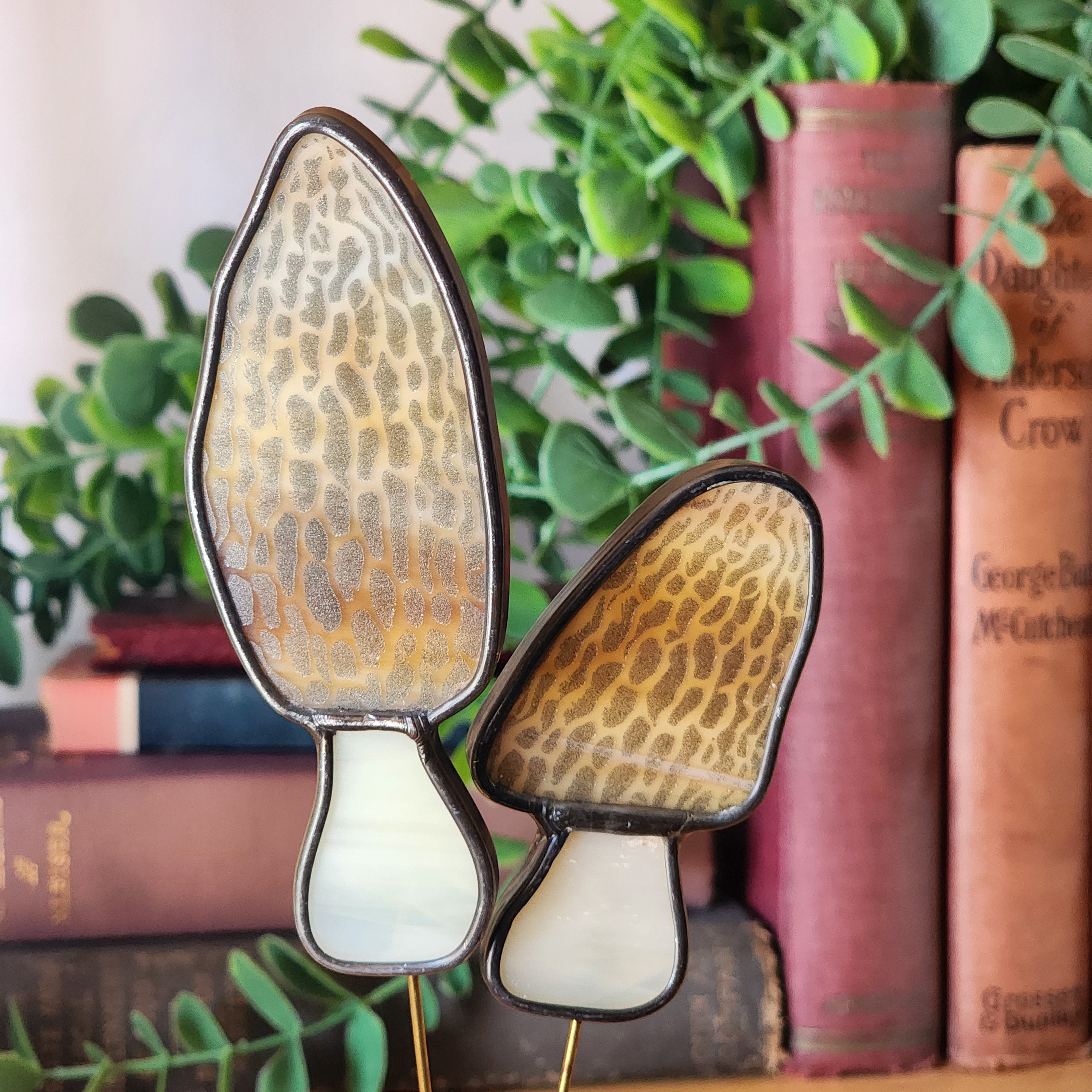 Morel mushroom plant stake on a background of books and greenery
