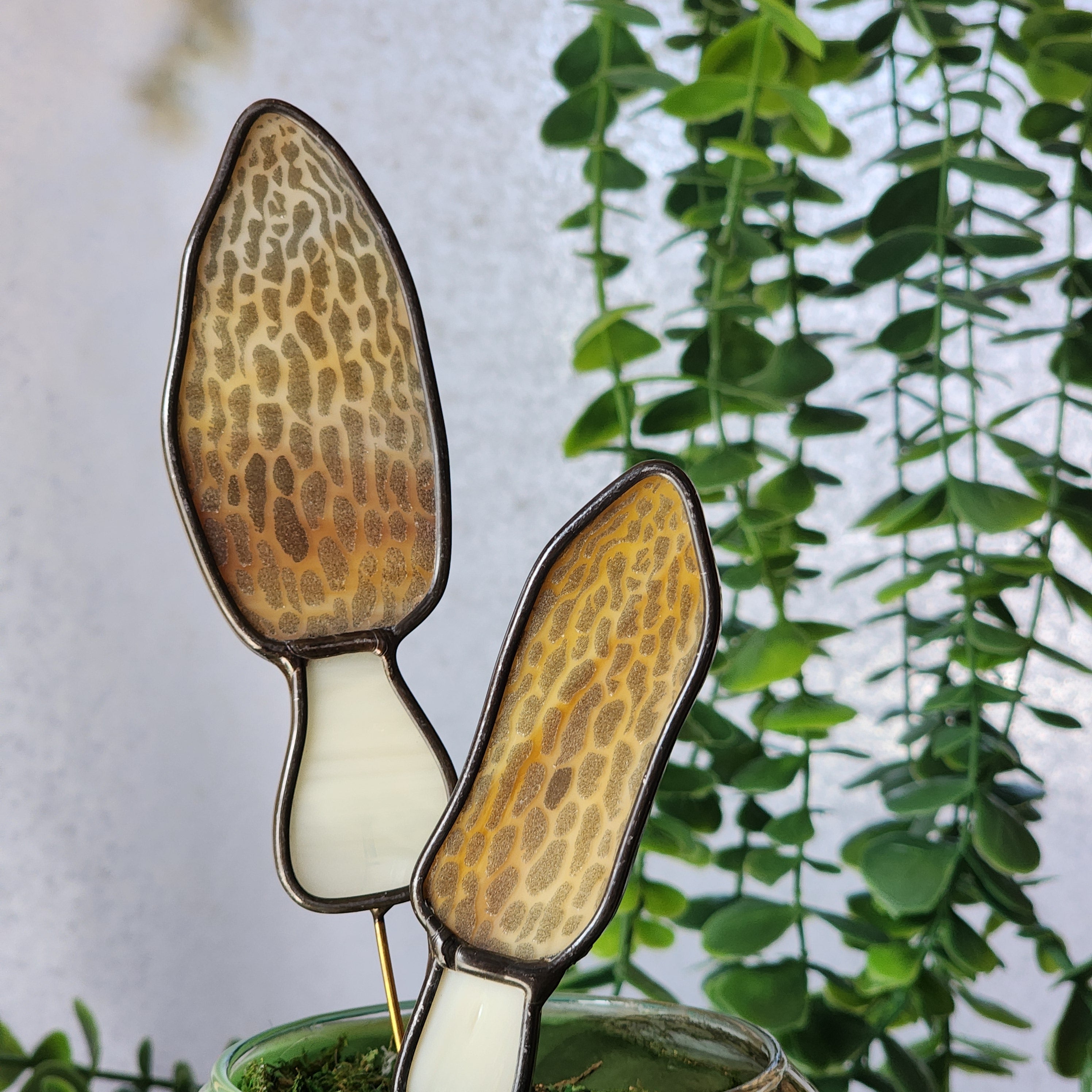 2 tall morel mushroom plant stakes against a green leafy background