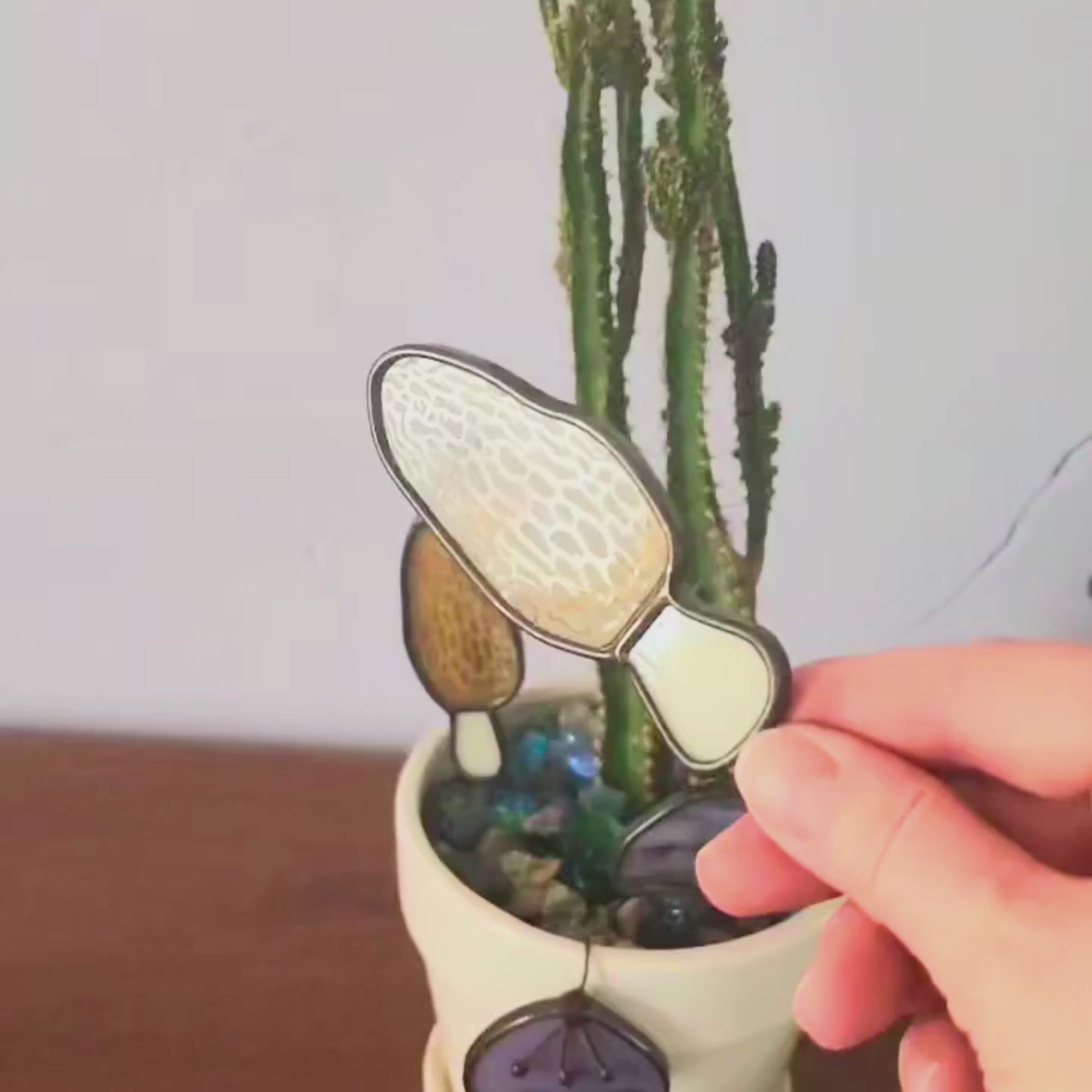 video of plant stake